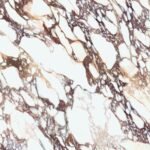 Laminam Calacatta Viola Book Match porselen tezgah dokusu 2